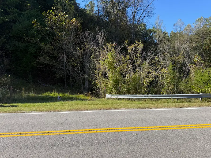 0 Yellow Mountain, Roanoke, VA 24014 - #2