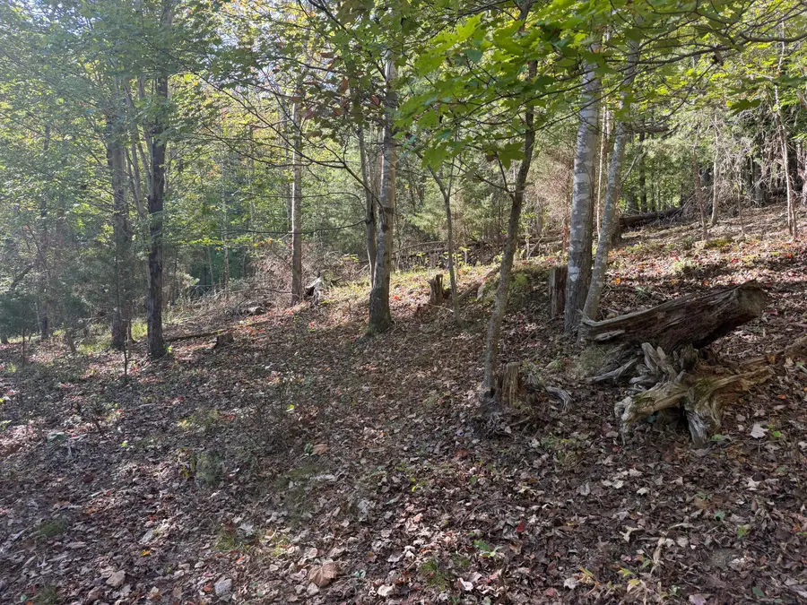 0 Yellow Mountain, Roanoke, VA 24014 - #3