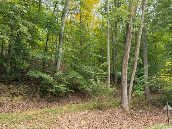 0 Narrow Passage, Eagle Rock, VA 24085