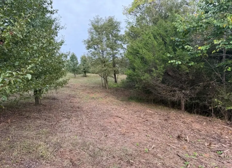 Lot 4 Moneta, Moneta, VA 24121 - #2