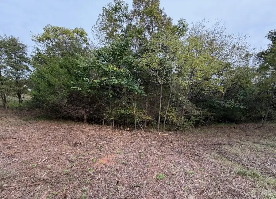 Lot 4 Moneta, Moneta, VA 24121 - #3
