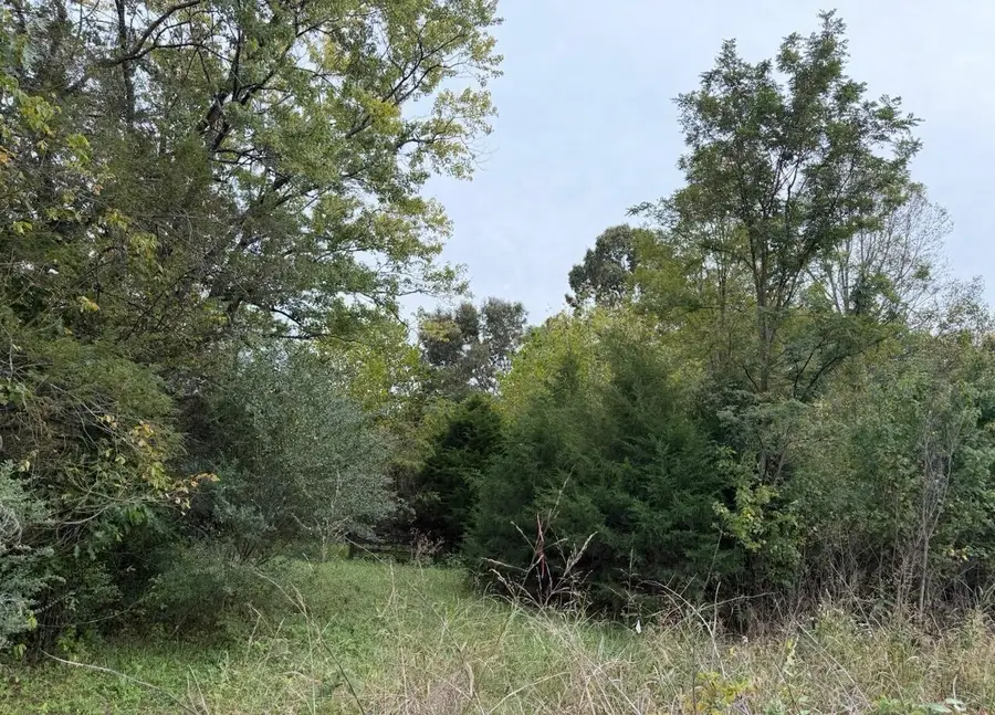 Lot 1 Moneta, Moneta, VA 24121 - #2
