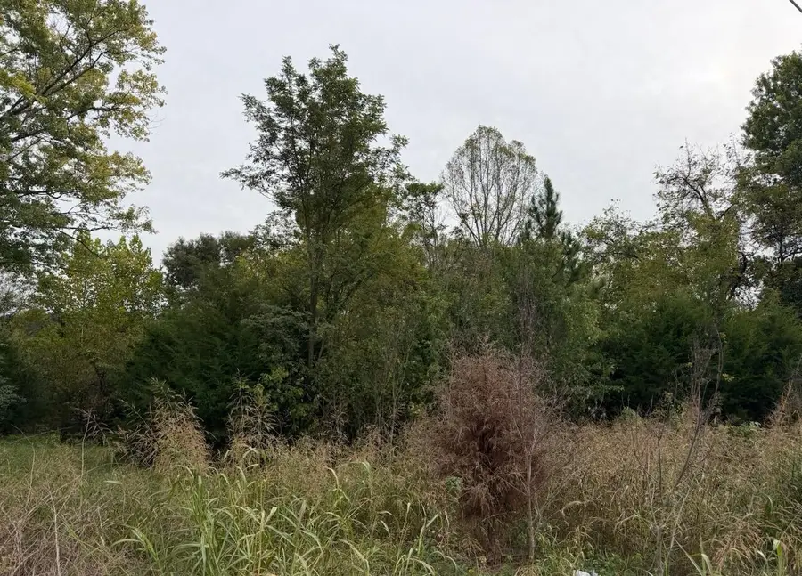 Lot 1 Moneta, Moneta, VA 24121 - #3