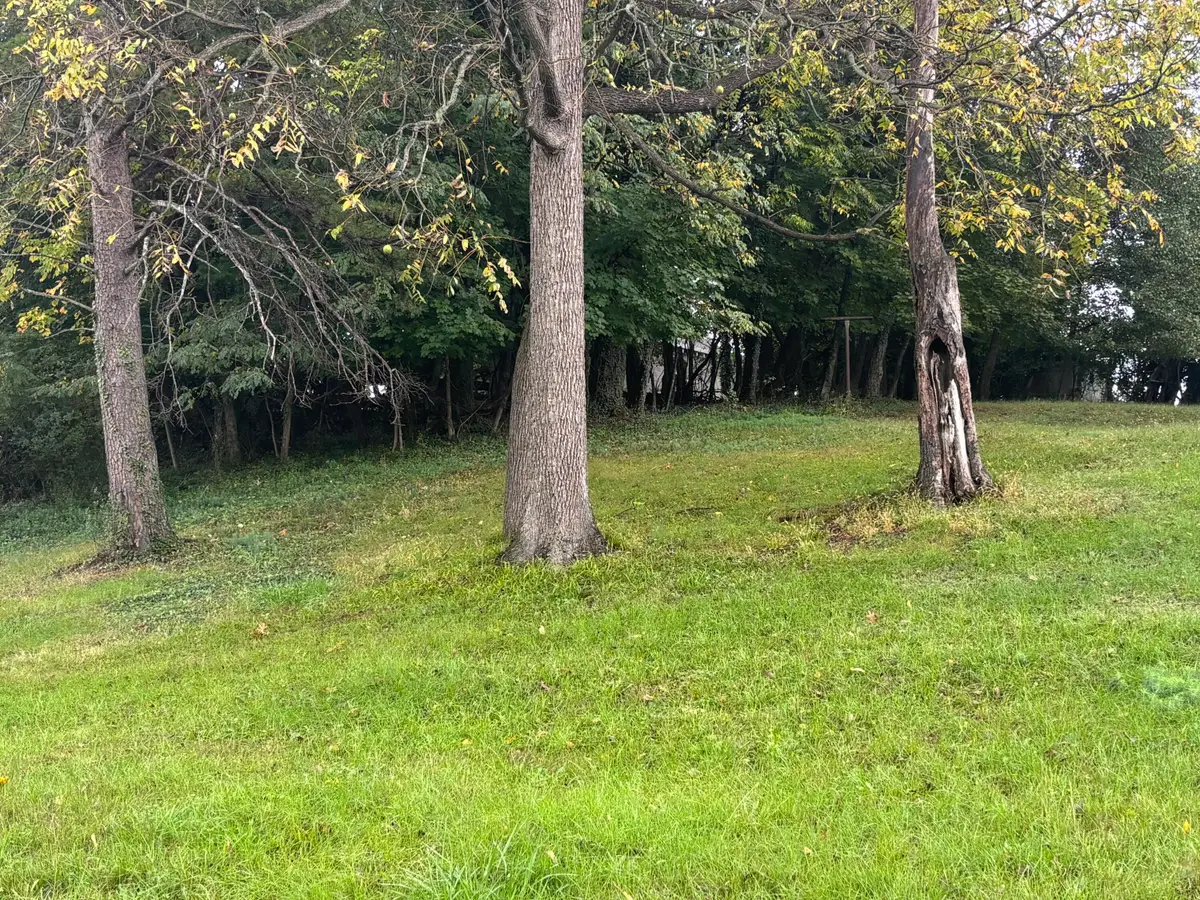 0 Peters Creek, Roanoke, VA 24017 - #1