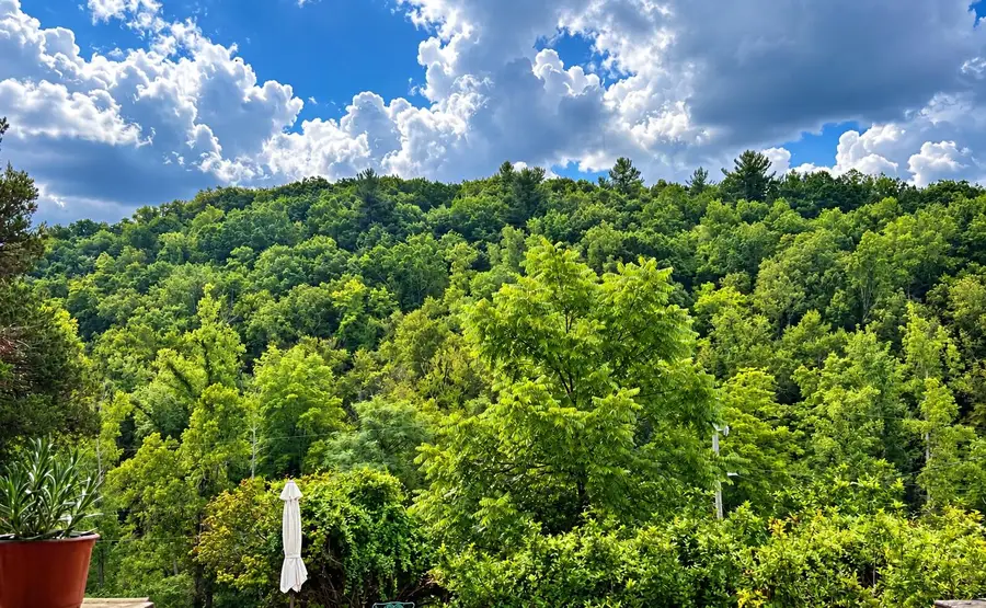 0790002300 Turners Creek, Ferrum, VA 24088 - #2