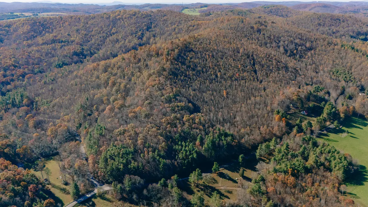 TBD Shelor, Meadows Of Dan, VA 24120 - #1