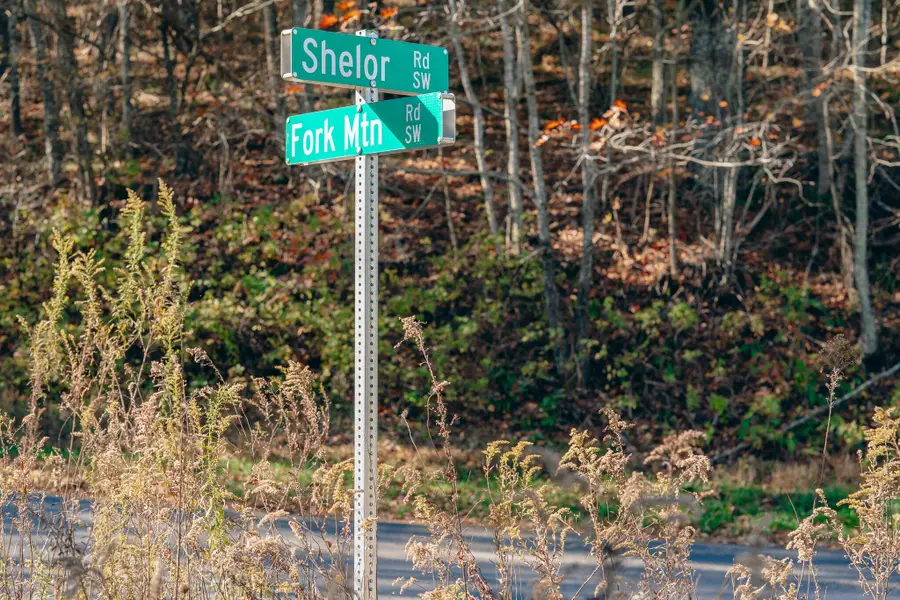 TBD Shelor, Meadows Of Dan, VA 24120 - #2