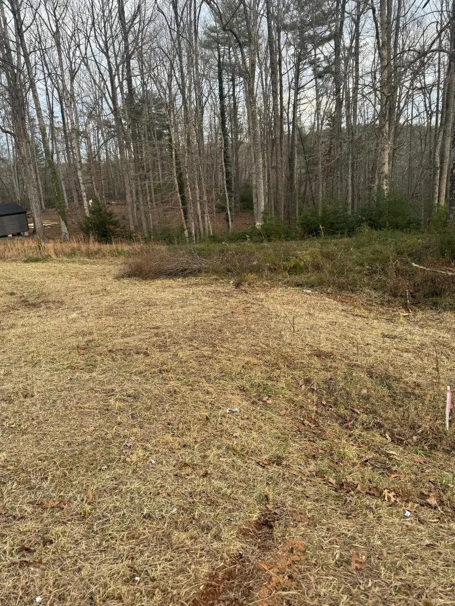 0 Henry, Henry, VA 24102 - #3