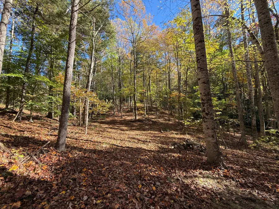 8062 Sugar Run, Copper Hill, VA 24079 - #3