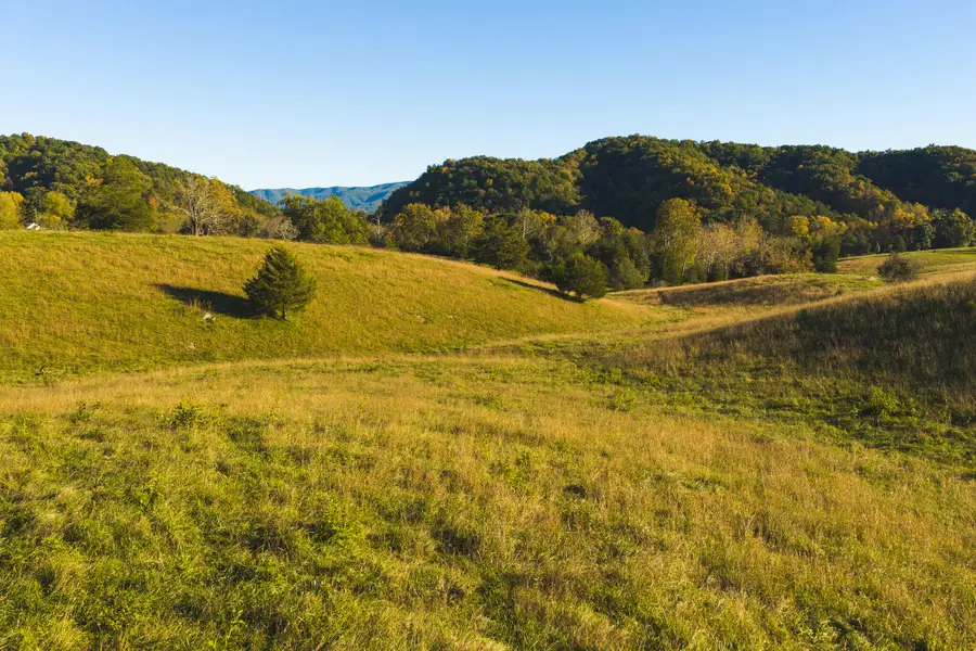 Lot 1 Watauga, Abingdon, VA 24211 - #2