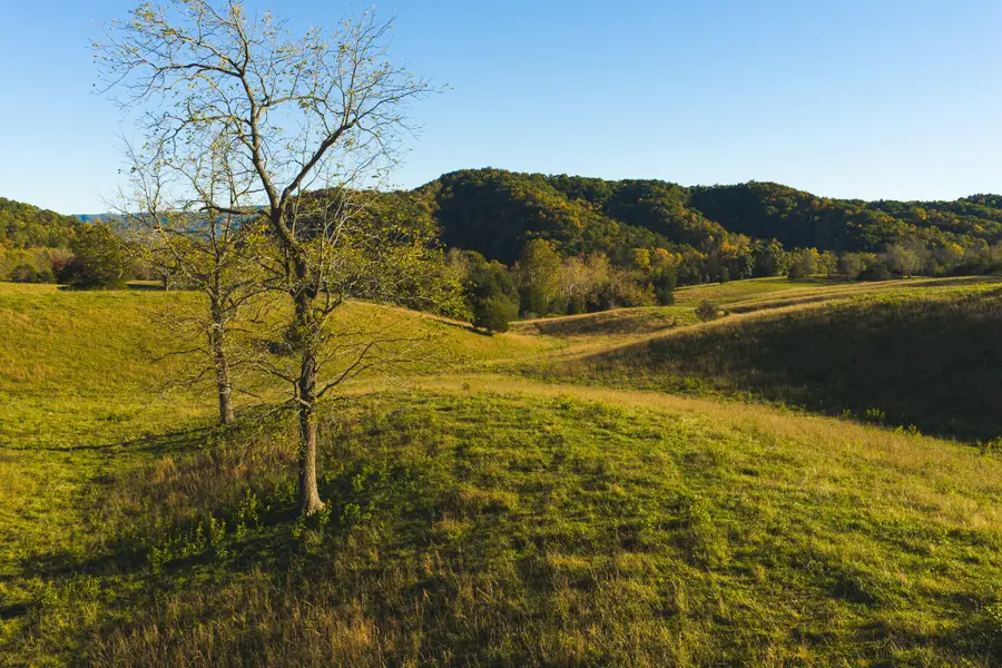 Lot 2 Watauga, Abingdon, VA 24211 - #2