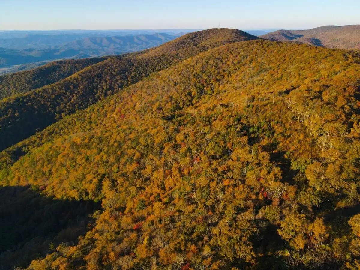 0 Honeysuckle, Elliston, VA 24087 - #1
