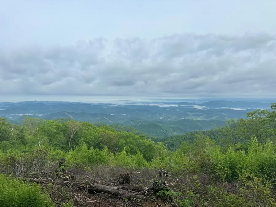 0 Honeysuckle, Elliston, VA 24087 - #2