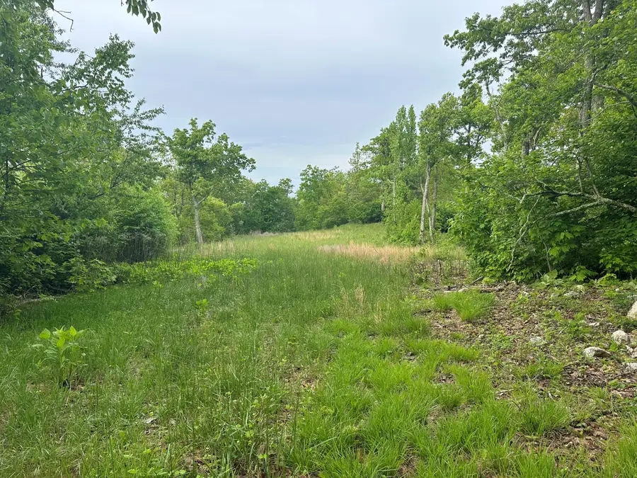 0 Honeysuckle, Elliston, VA 24087 - #3