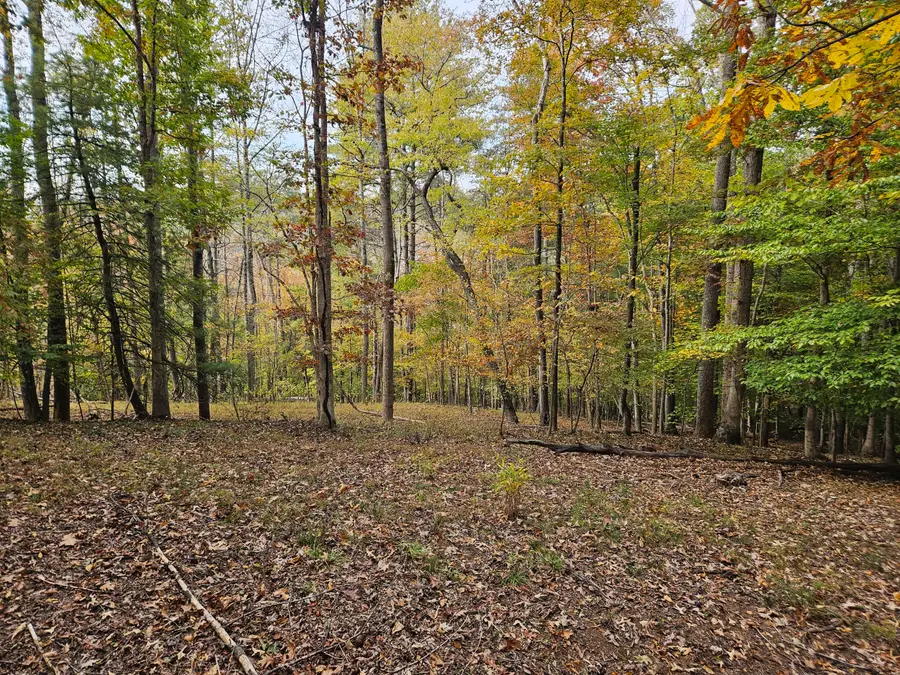 4669 Brookridge, Roanoke, VA 24014 - #2