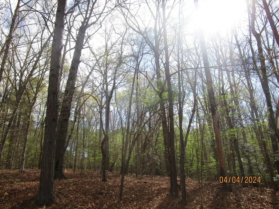 Anchor Drive, Bracey, VA 23974 - Image #2