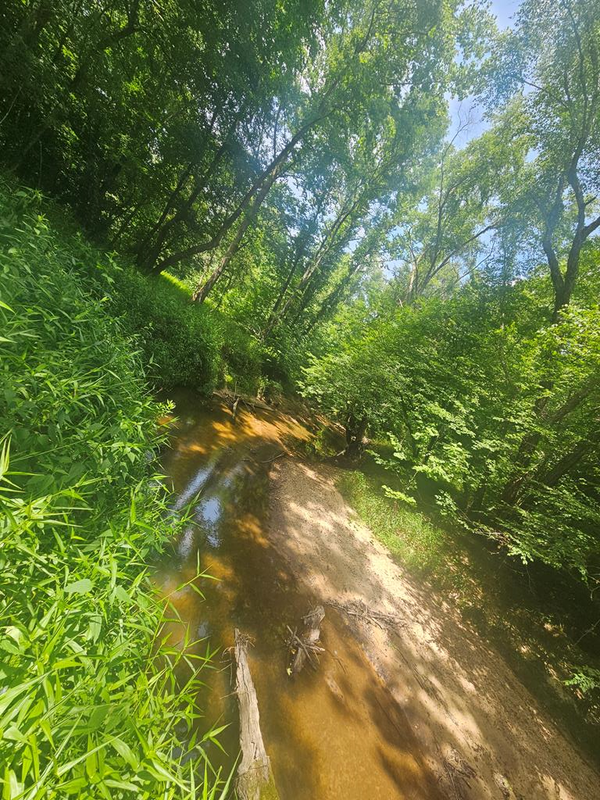 Longview Dr, Kenbridge, VA 23944