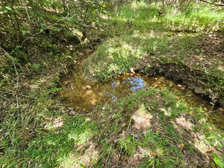 West James Anderson Hwy, Gladstone, VA 24553 - #3