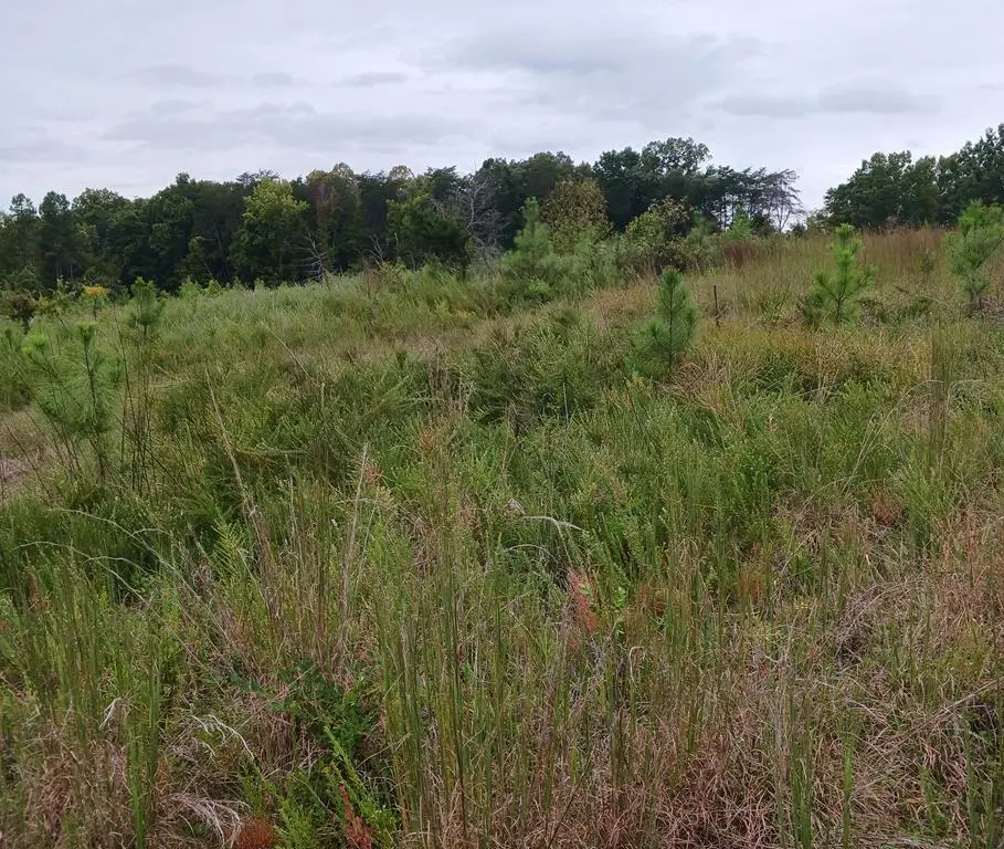 Buffalo Heights Rd., Farmville, VA 23901 - Image #1