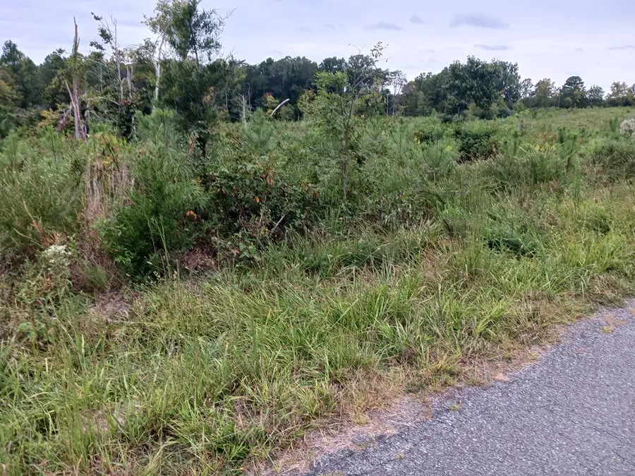 Buffalo Heights Rd., Farmville, VA 23901 - Image #2