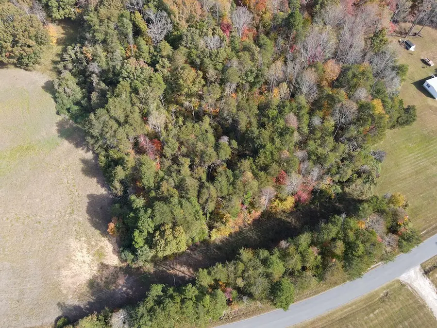 Yeatts Store Rd, Java, VA 24565 - Image #3