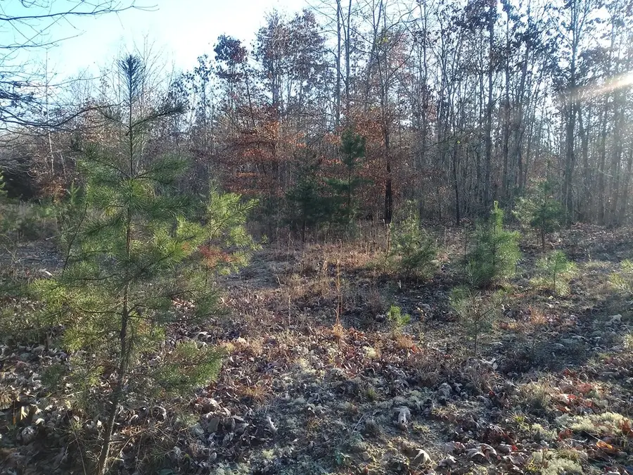 Tbd Indian Pipe Run, Palmyra, VA 22963 - Image #3