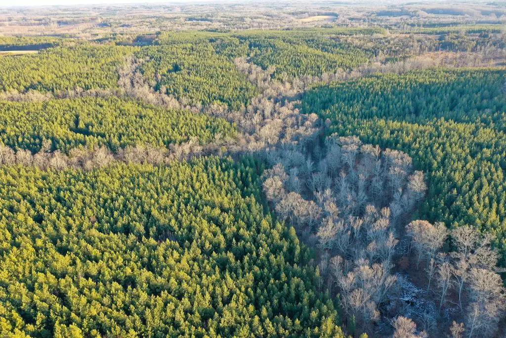 Mason Trail, Nathalie, VA 24577 - Image #1