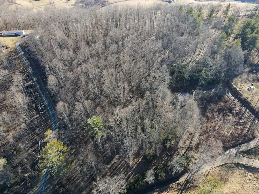 Starmount Lane, Galax, VA 24333 - Image #3