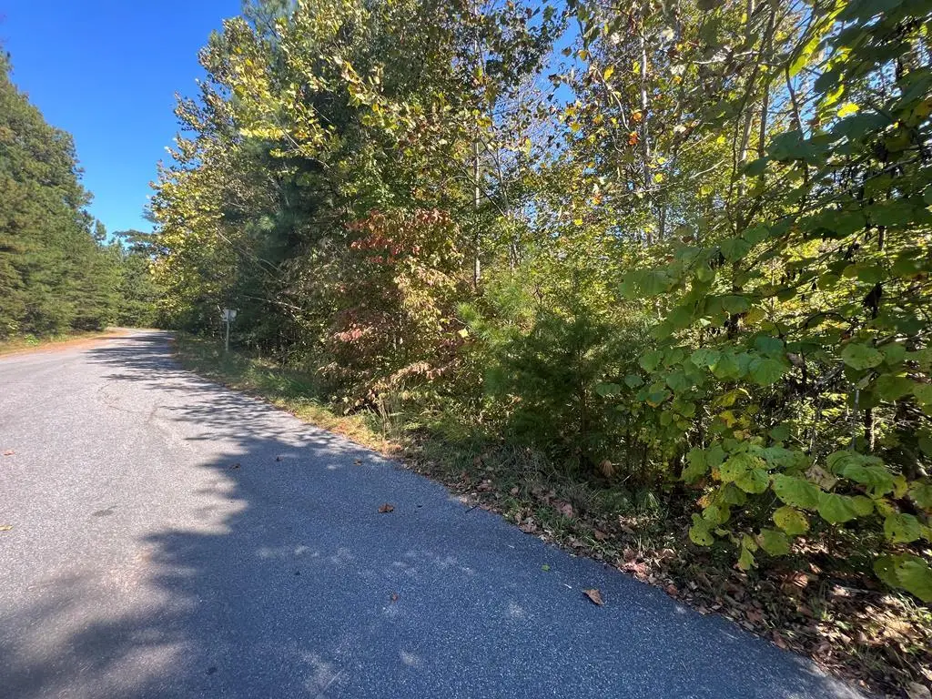 Booth St, Farmville, VA 23901 - Image #1