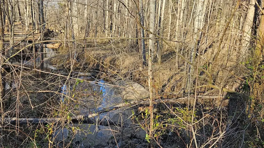 Richardson Road, Amelia Court House, VA 23002 - Image #2