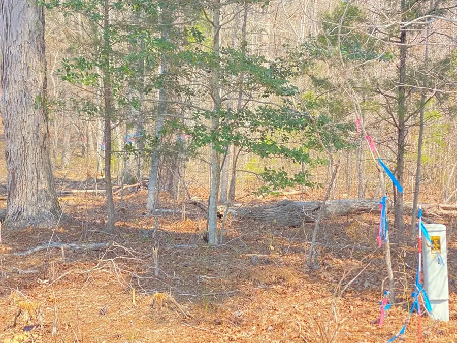 Chalk Level Rd, Alberta, VA 23821 - Image #3