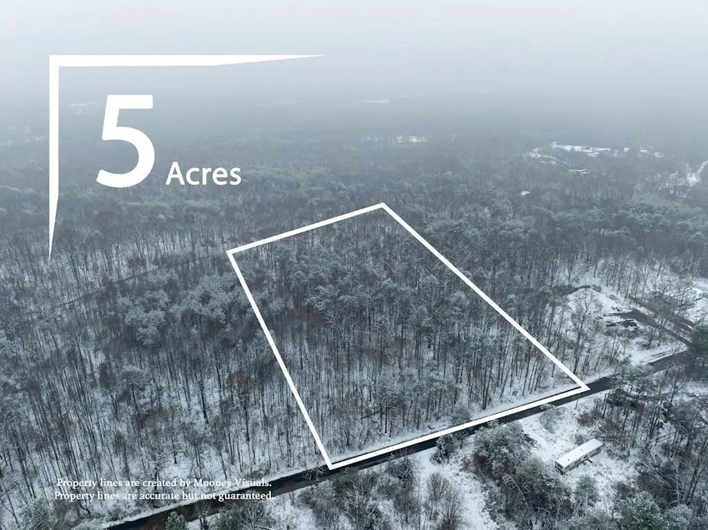 Cg Woodson Rd, New Canton, VA 23123 - Image #1