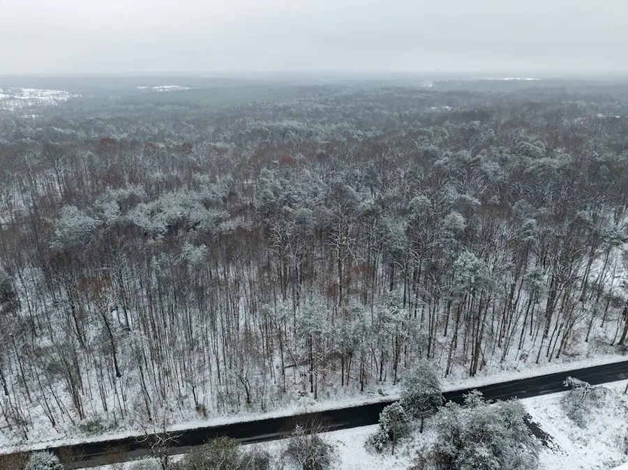 Cg Woodson Rd, New Canton, VA 23123 - Image #3