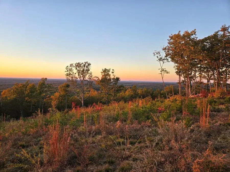 Mountain Creek Rd, Green Bay, VA 23942 - Image #2