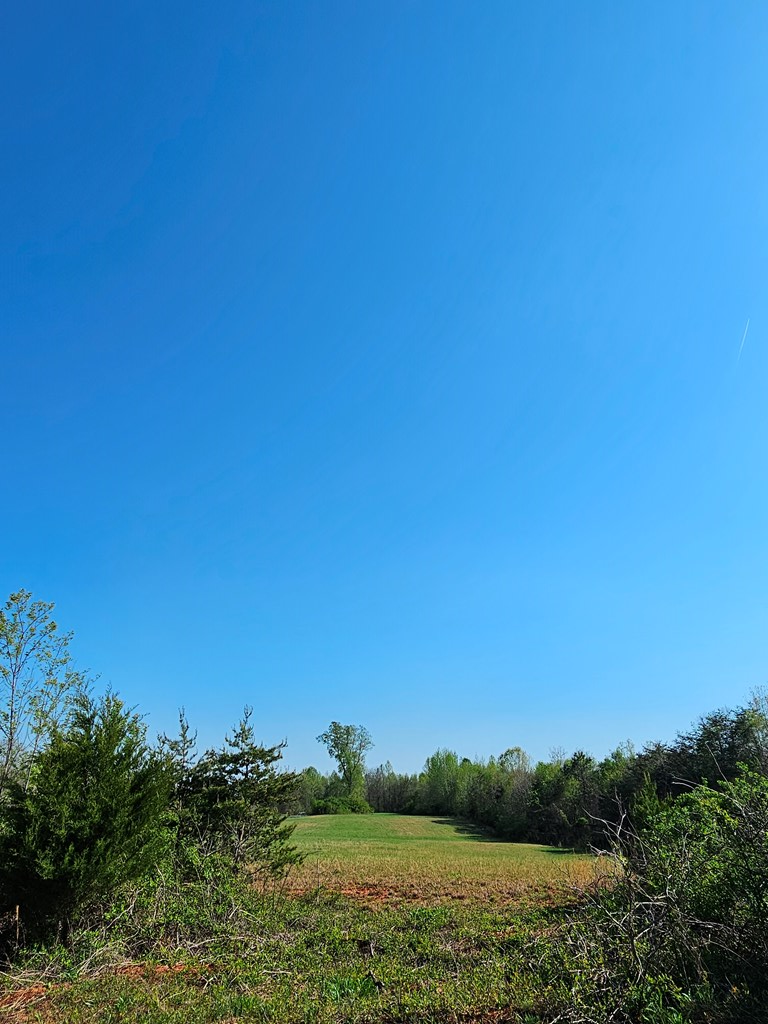 Vincent Store Road, Phenix, VA 23959 - #2