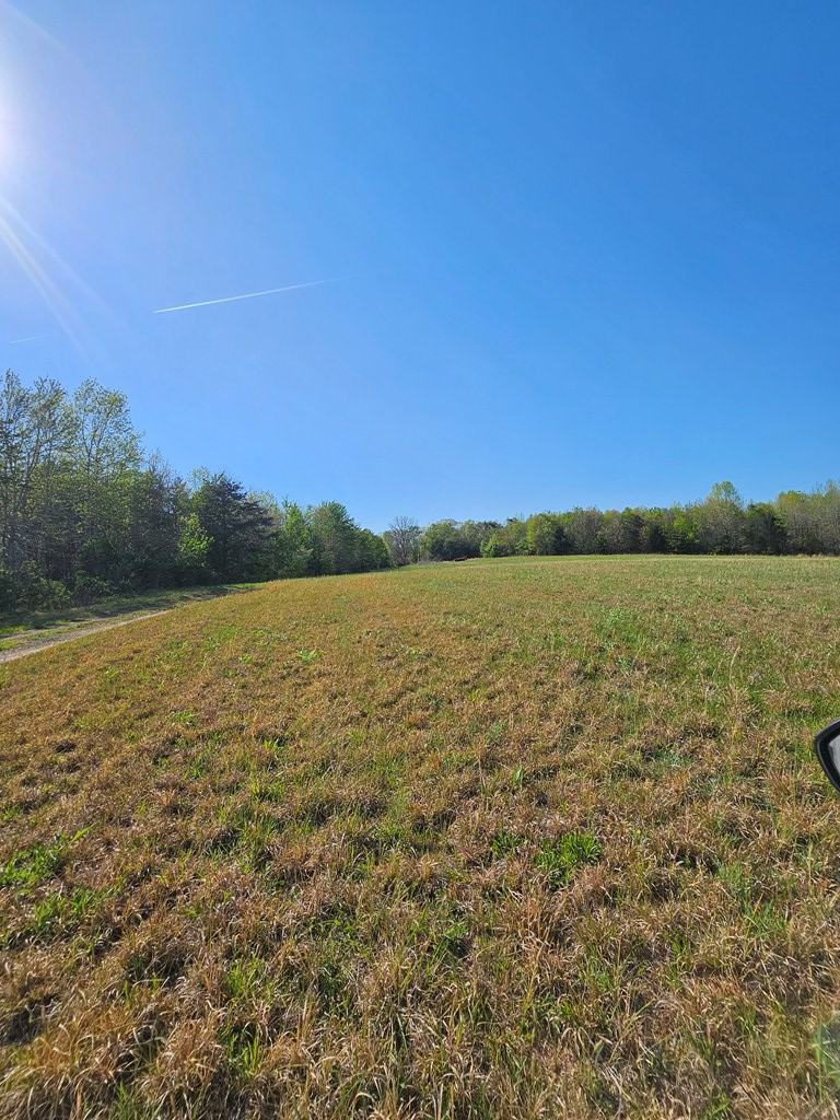 Vincent Store Road, Phenix, VA 23959 - #3