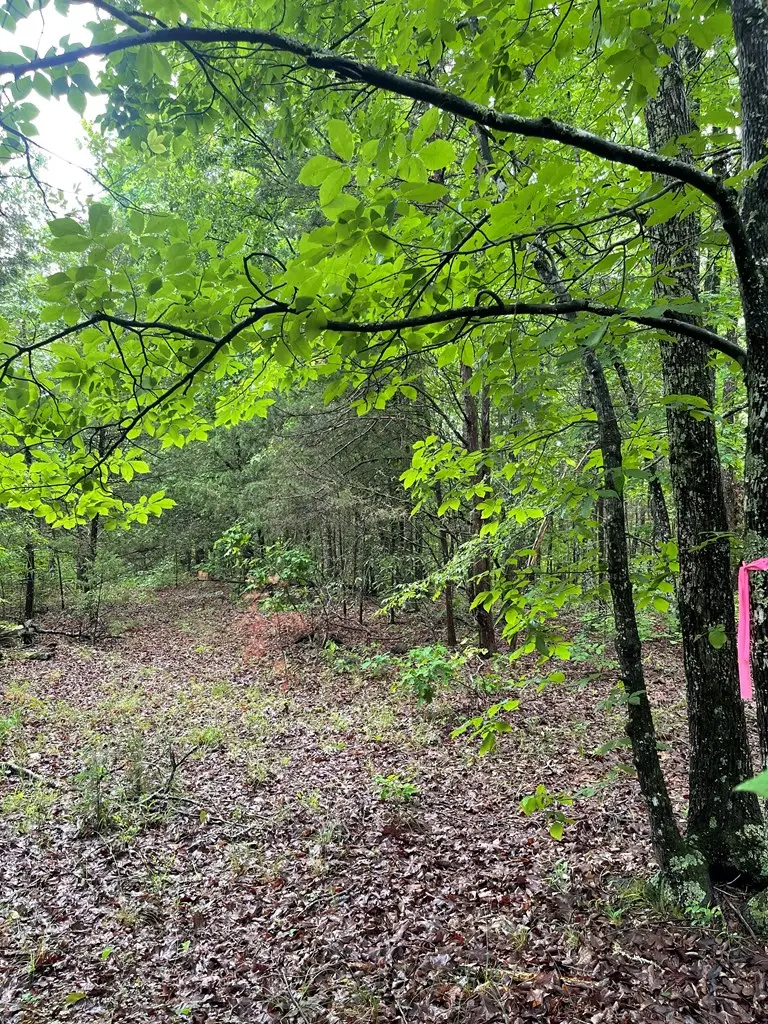 Allen Trl, Scottsburg, VA 24589 - Image #2