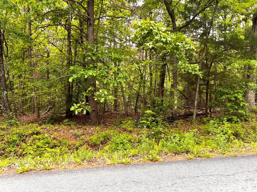 Old Tower Hill Rd, Dillwyn, VA 23936 - Image #3