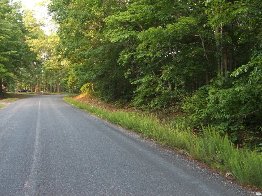 Towler Road, Central, VA 23947 - Image #2