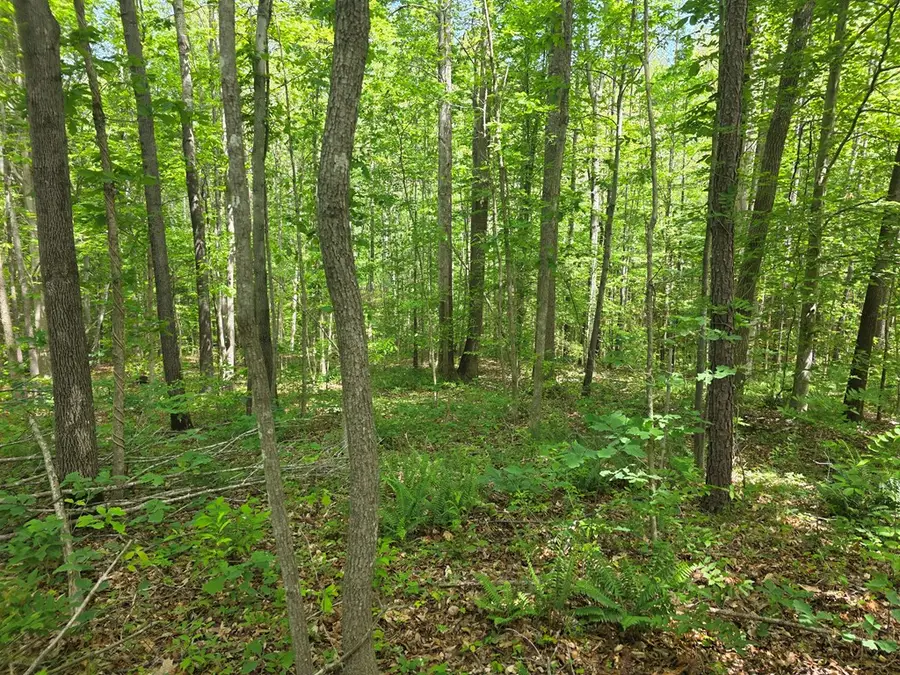 Holiday Lake Rd, Appomattox, VA 24522 - Image #2