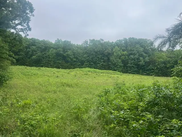 Hill Cross Road, Madison, VA 23923 - #1