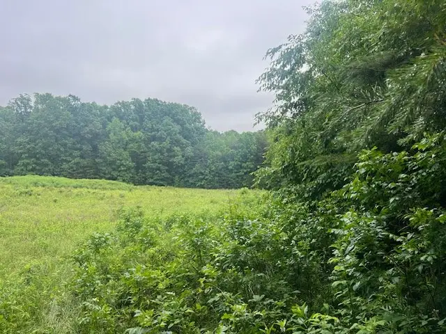 Hill Cross Road, Madison, VA 23923 - #2