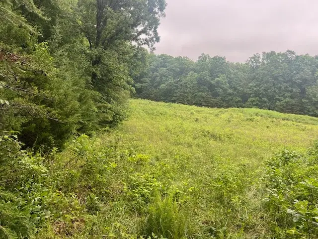 Hill Cross Road, Madison, VA 23923 - #3