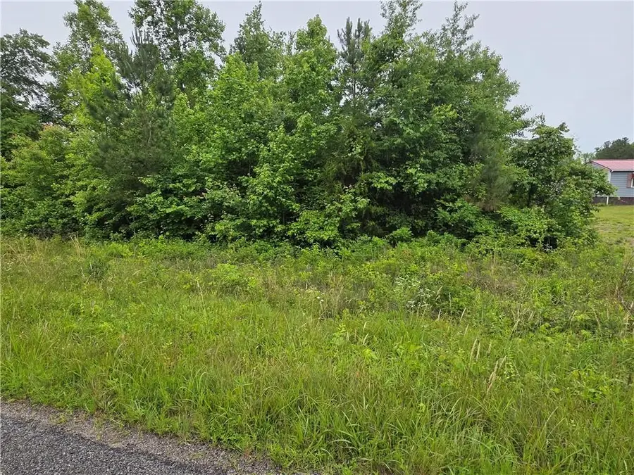Tbd Plank Road, Loves Mill, VA 23944 - Image #2