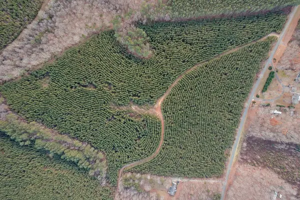 Perkins Mill Rd, Dillwyn, VA 23901