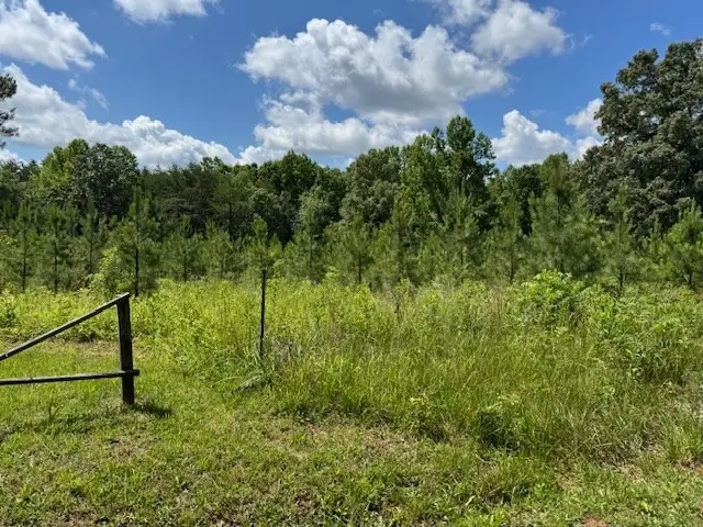 Mini Ball Lane, Appomattox, VA 24522 - Image #2