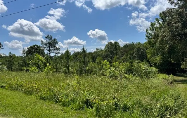 Mini Ball Lane, Appomattox, VA 24522 - Image #3