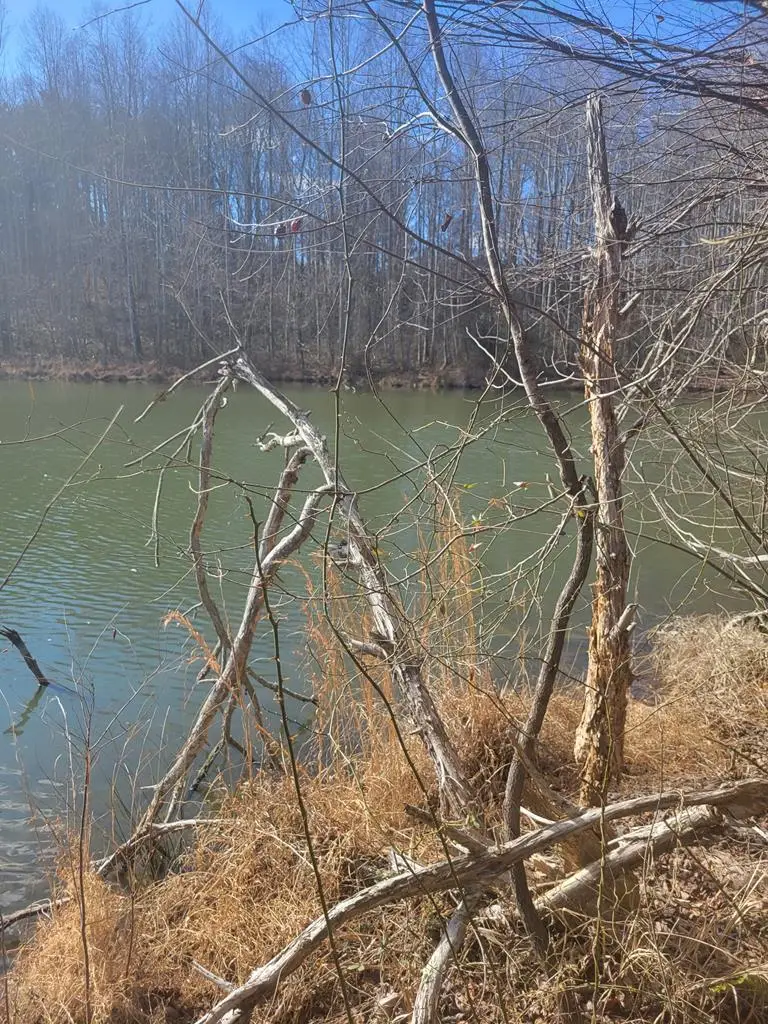 Riceville Road, Java, VA 24565 - Image #1