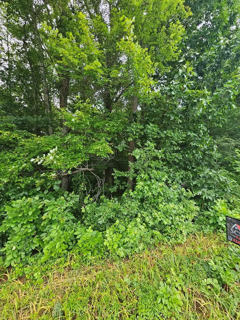 Riceville Road, Java, VA 24565 - Image #2