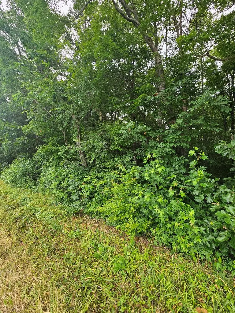 Riceville Road, Java, VA 24565 - Image #3